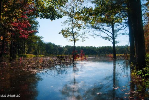  Hwy 17, Camden, MS, 39045 | Card Image