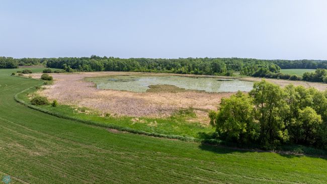 Amdak__Fosston MN - Land_0039.jpg | Image 39