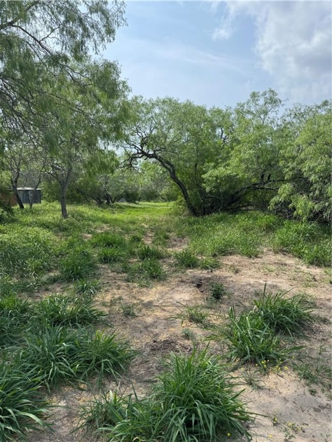 5525 Ravine Rd, Home with 0 bedrooms, 0 bathrooms and null parking in Robstown TX | Image 4