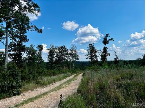 7 Peala Rd, Centerville, MO, 63633 | Card Image