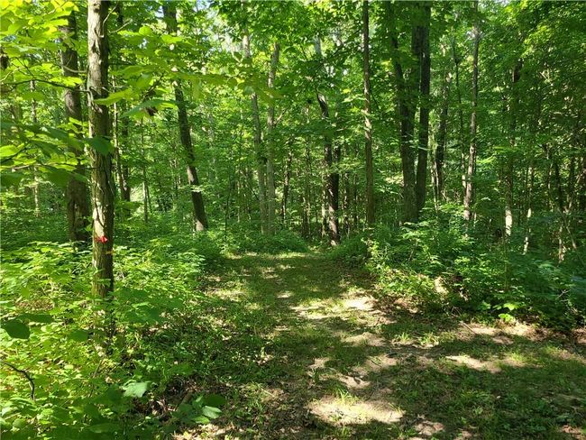 5508 W James Rd, House other with 3 bedrooms, 3 bathrooms and null parking in Connersville IN | Image 52