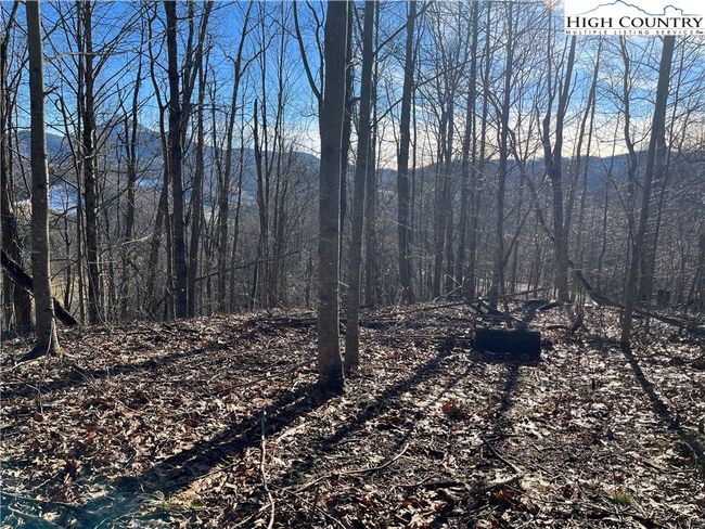 33 Paradise Valley Circle, Home with 0 bedrooms, 0 bathrooms and null parking in Creston NC | Image 10