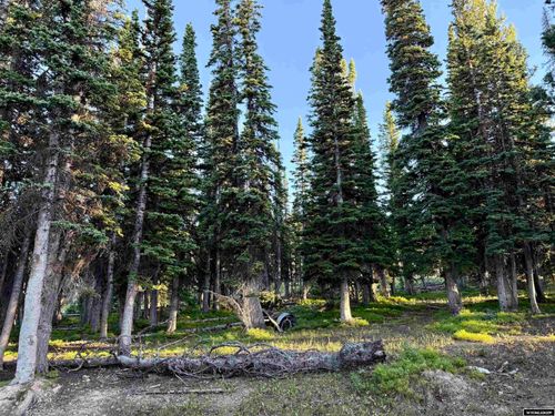2, 4, 6 &amp; 8 Blk 9, Battle Lake Townsite, Encampment, WY, 82325 | Card Image