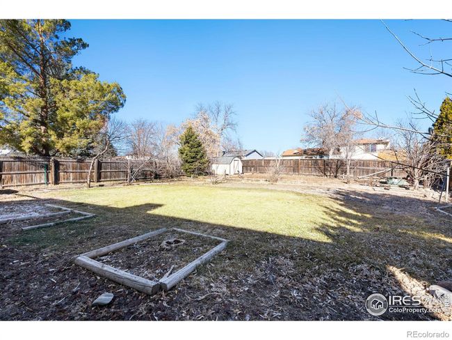 Backyard | Image 13