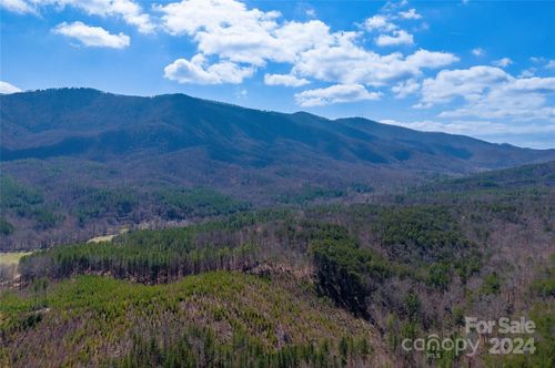 Tract 1 Holbert Cove Road, Mill Spring, NC, 28756 | Card Image