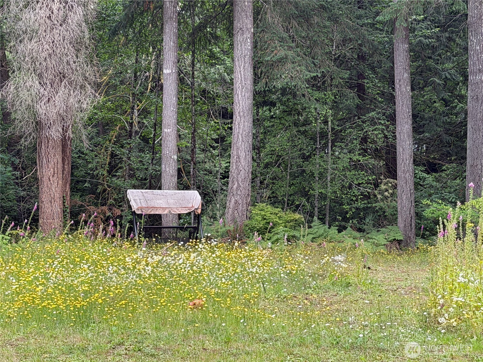 Land in Shelton 5