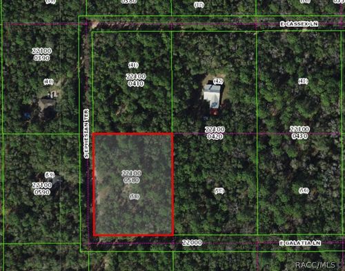 13407 S Ephesian Ter, Floral City, FL, 34436 | Card Image