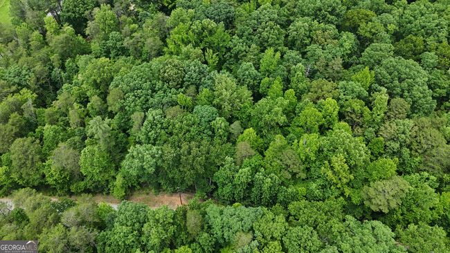 TRACT-1 - 0 Sautee Ridge Rd, Home with 0 bedrooms, 0 bathrooms and null parking in CLARKESVILLE GA | Image 4
