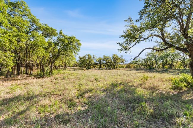15+ acres | Image 36