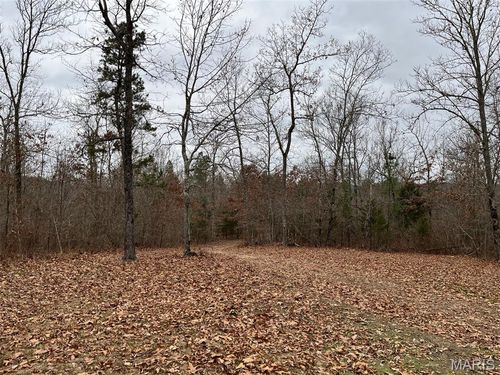 0 Wayne 443, Mill Spring, MO, 63952 | Card Image