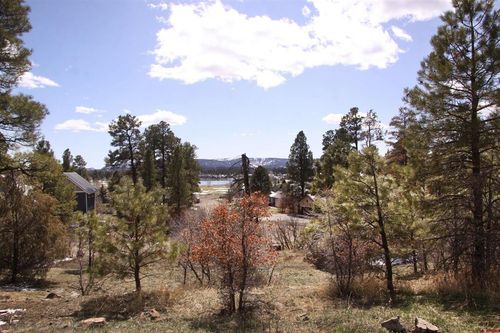 344 Caddy Cir, Pagosa Springs, CO, 81147-9320 | Card Image