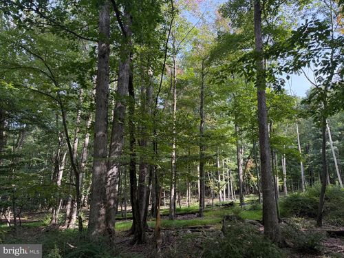 376 Davos Circle, Zion Grove, PA, 17985 | Card Image