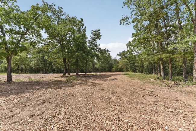 View of landscape featuring a view of trees | Image 9