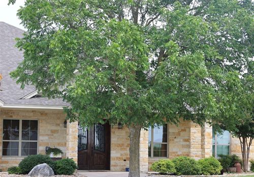 13801 Krause Rd, Holland, TX, 76534-4074 | Card Image