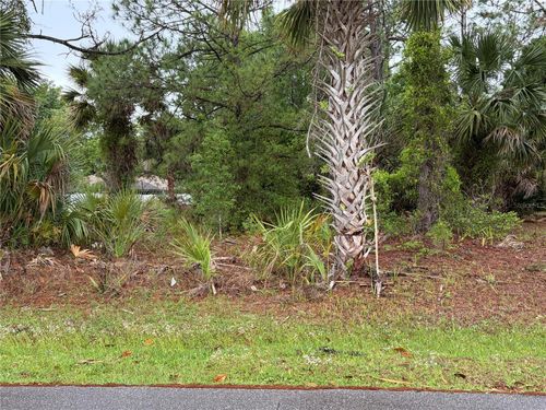 31 Whittingham Ln, PALM COAST, FL, 32164-7217 | Card Image