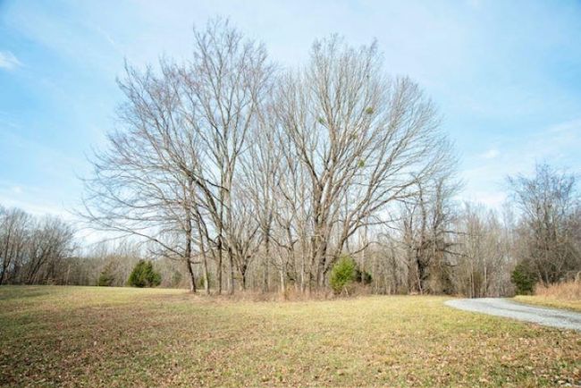 13300 Scottsville Rd, Home with 0 bedrooms, 0 bathrooms and null parking in Lucas KY | Image 12