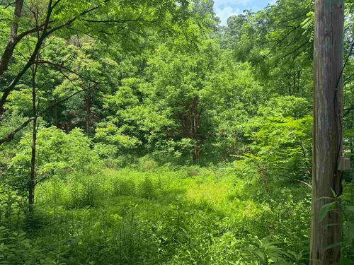 Lot 2 Jesses Run Rd, Fairview, WV, 26570-9301 | Card Image