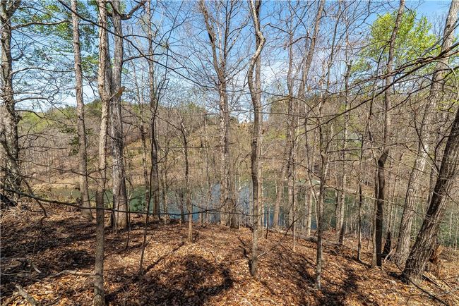 34 Crystal Cove Trl, Home with 0 bedrooms, 0 bathrooms and null parking in Salem SC | Image 6