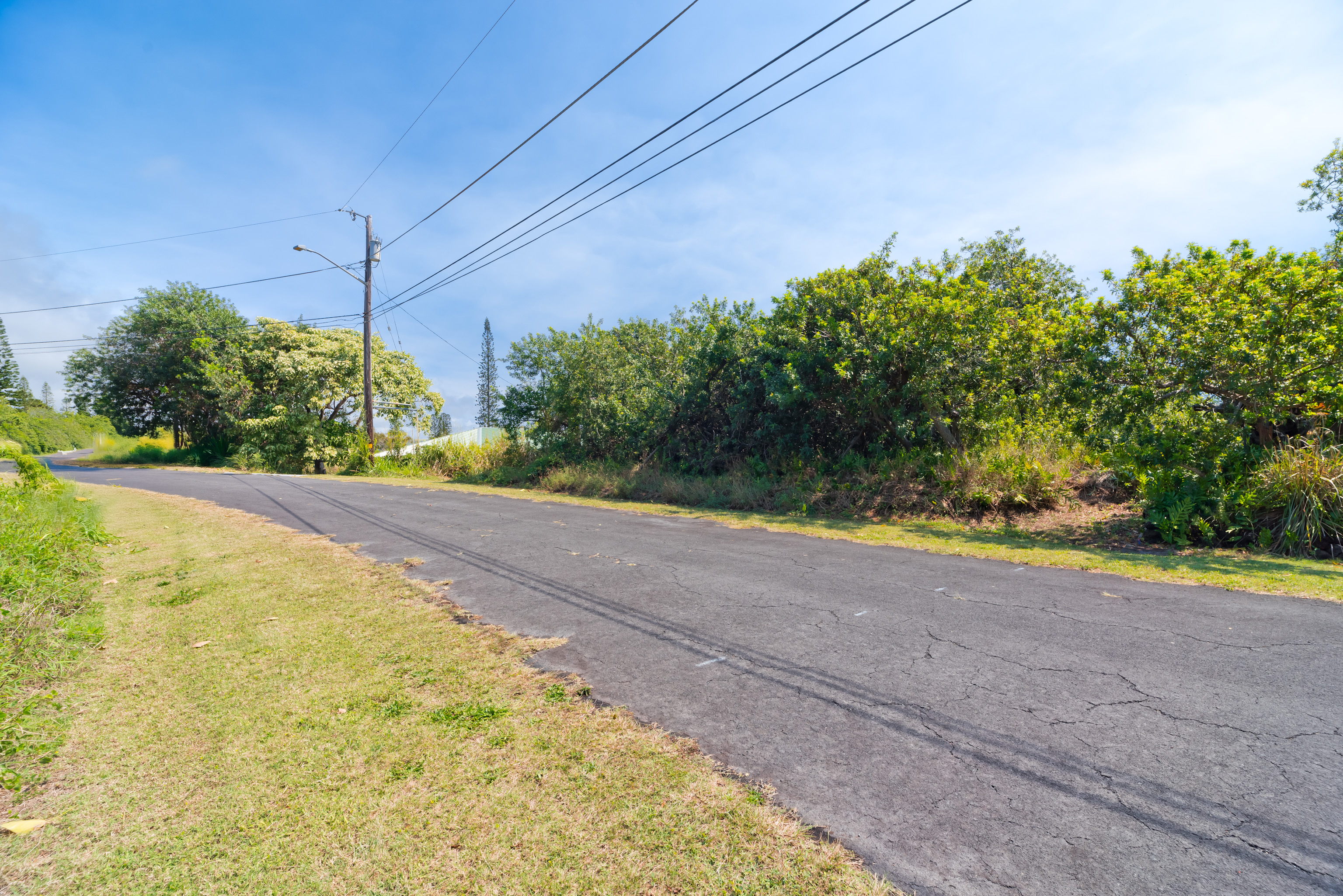 Land in Naalehu 4