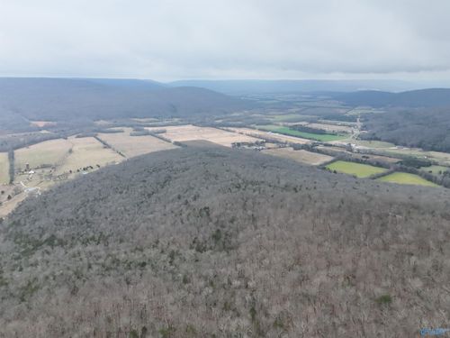 264 AC County Road 65, Paint Rock, AL, 35764 | Card Image