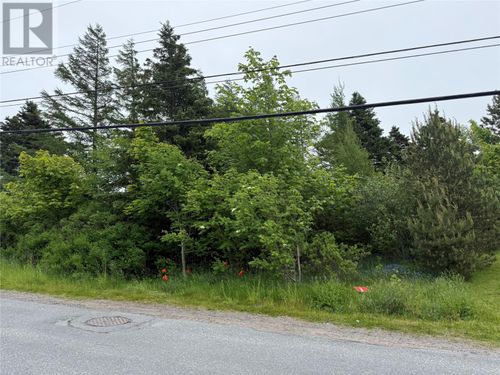 49 Back Rd, Upper Island Cove, NL, A0A4E0 | Card Image