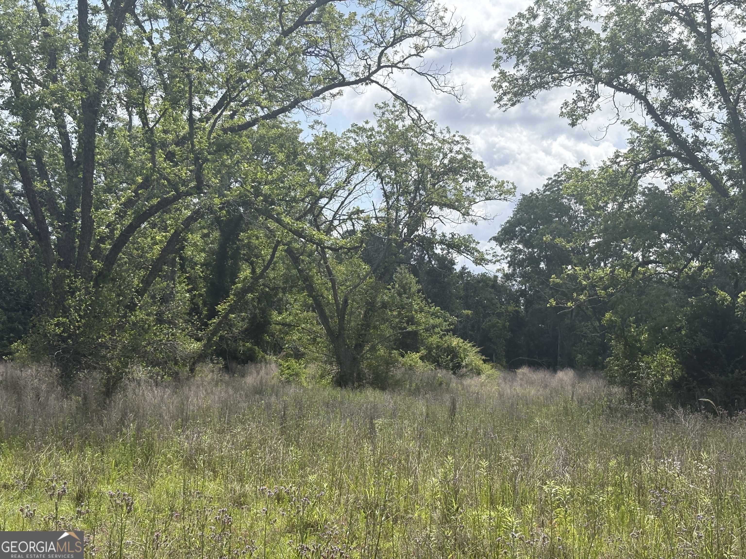 Land in Fitzgerald 3