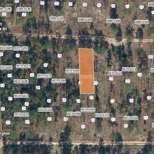 129 W Virginia St, Hawthorne, FL, 32640 | Card Image