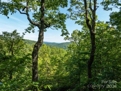 cvn-cvn-025-Lot 25 Panther Mountain Road, Zirconia, NC, 28790 | Card Image