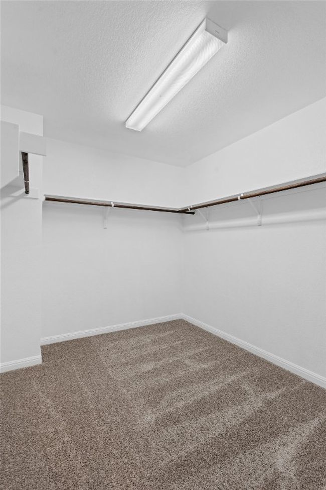 Spacious closet featuring carpet flooring | Image 24