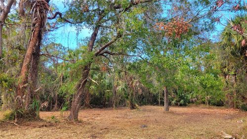  Needles Drive, HUDSON, FL, 34667 | Card Image