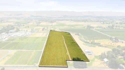 SP 2161 Lot 2 W Mccreadie Rd, Prosser, WA, 99350 | Card Image
