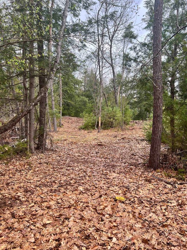 Lot 69 Glen Avenue, Home with 0 bedrooms, 0 bathrooms and null parking in Effingham NH | Image 13