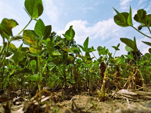 9654 Birch Run Rd, Millington, MI, 48746-9549 | Card Image