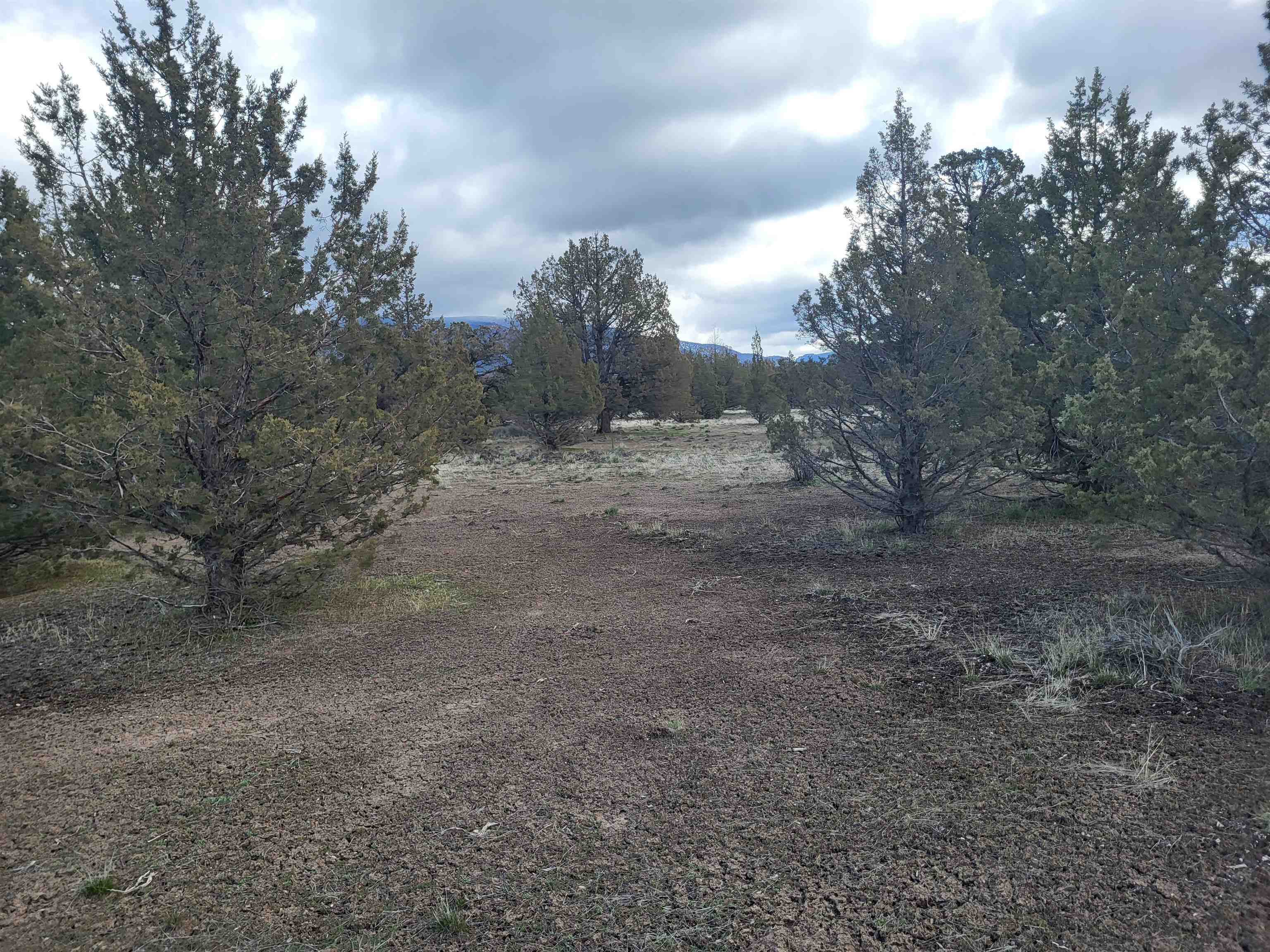 Land in Montague 4