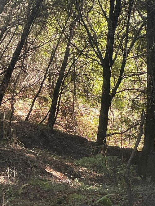 0 Redwood Dr, Santa Cruz, CA, 95060 | Card Image