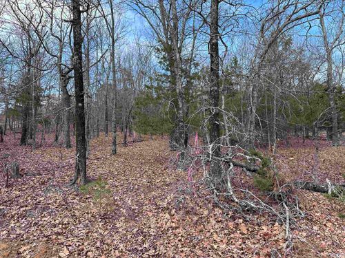 Lot 33 S. Bluff Drive, Quitman, AR, 72131 | Card Image