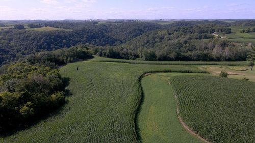 XXX Crazy Corners Rd, CALEDONIA, MN, 55921 | Card Image