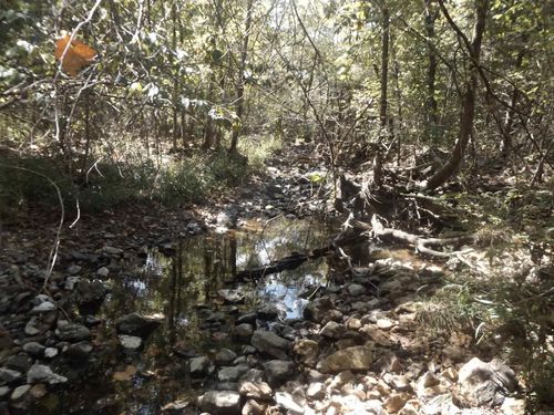 Lot 5 Windancer Cir, Mountain Home, AR, 72653-9150 | Card Image