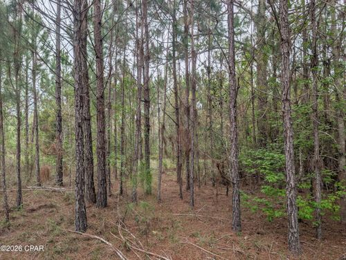 lot-49-0 Sumac Rd, Westville, FL, 32464 | Card Image