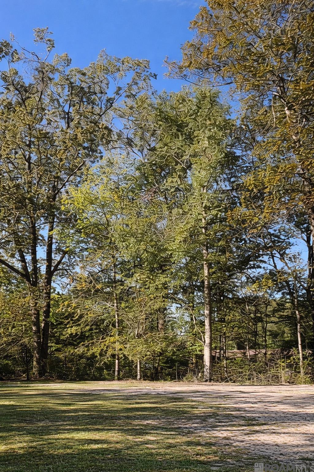 Land in Denham Springs 2