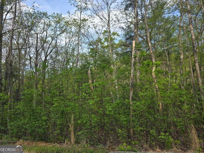 10 - LOT 10 Kennedys Ct, Home with 0 bedrooms, 0 bathrooms and null parking in Blairsville GA | Image 4