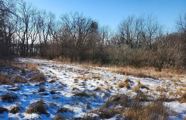 W9271 Highway 39, House other with 4 bedrooms, 3 bathrooms and null parking in York WI | Image 30