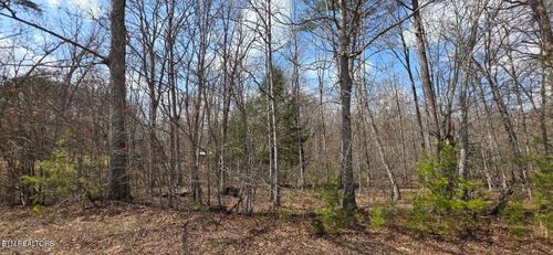 7 Cumberland Lakes Dr, Monterey, TN, 38574 | Card Image