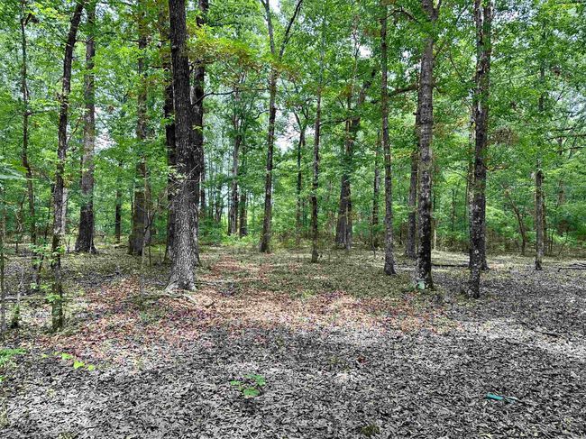 000 Oak Dale Rd, Home with 0 bedrooms, 0 bathrooms and null parking in Lonoke AR | Image 40