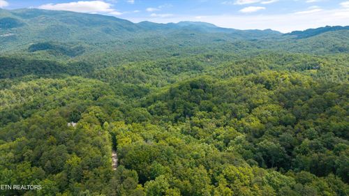 1618 Walnut Flats Rd, Walland, TN, 37886 | Card Image