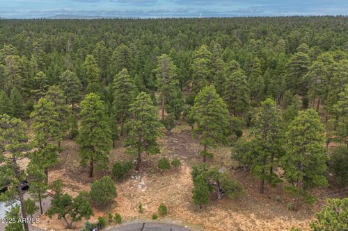 118-2961 Eagle Ridge Cir, Happy Jack, AZ, 86024 | Card Image