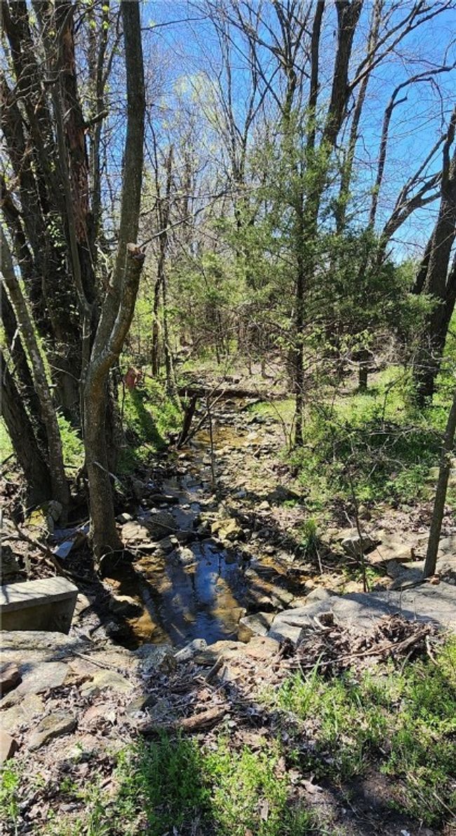 10535 N Highway 59, Home with 3 bedrooms, 1 bathrooms and null parking in Summers AR | Image 19