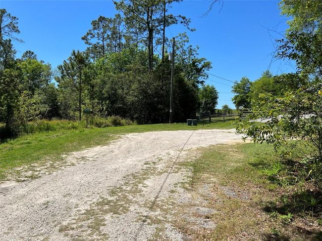 00 Hamrich Drive, Home with 0 bedrooms, 0 bathrooms and null parking in Dade City FL | Image 3