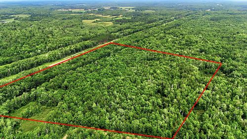 TBD Taylor Birch Rd, Hinckley, MN, 55037 | Card Image