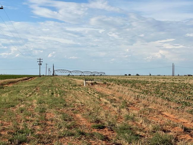 0 Tiger Rd, Home with 0 bedrooms, 0 bathrooms and null parking in Ropesville TX | Image 4